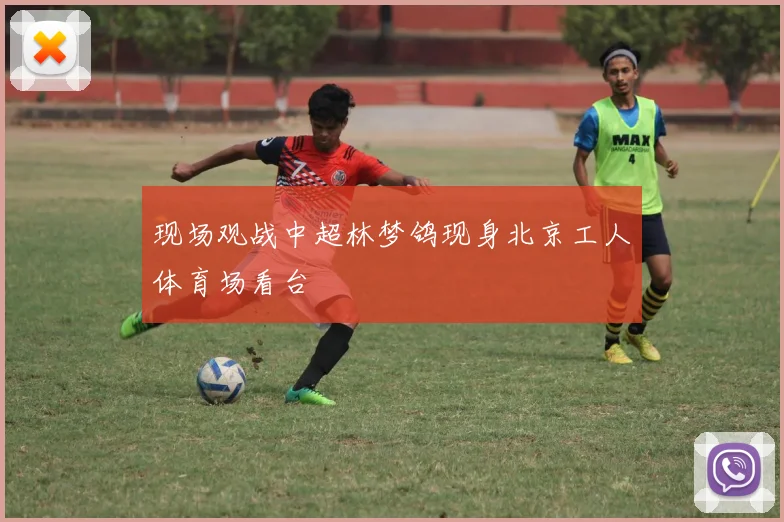 现场观战中超林梦鸽现身北京工人体育场看台